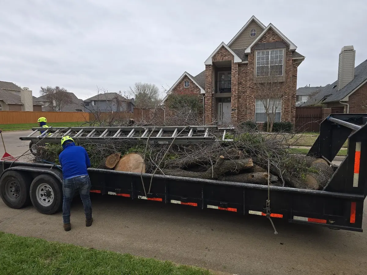 Expert Tree Removal with proper safety equipment in Oradell